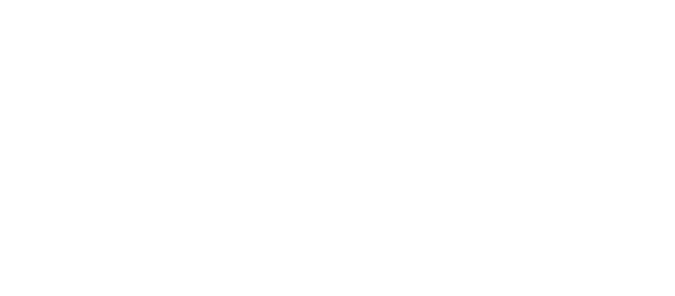 acube avior logo