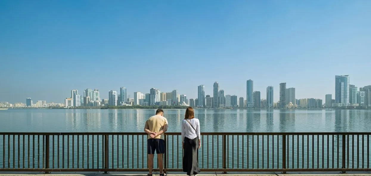 dubai views expats