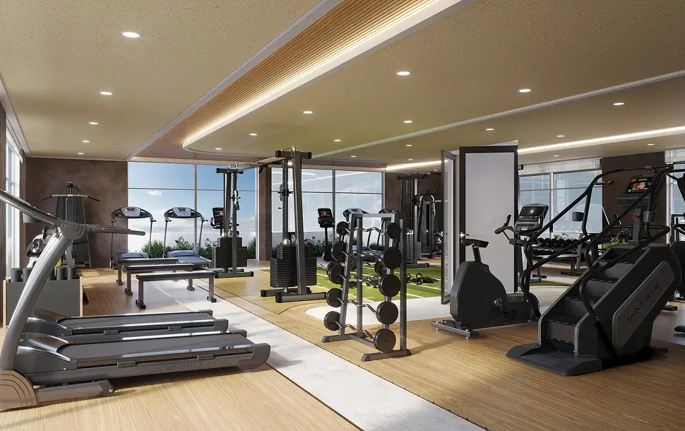 Vega gym dubai sports city